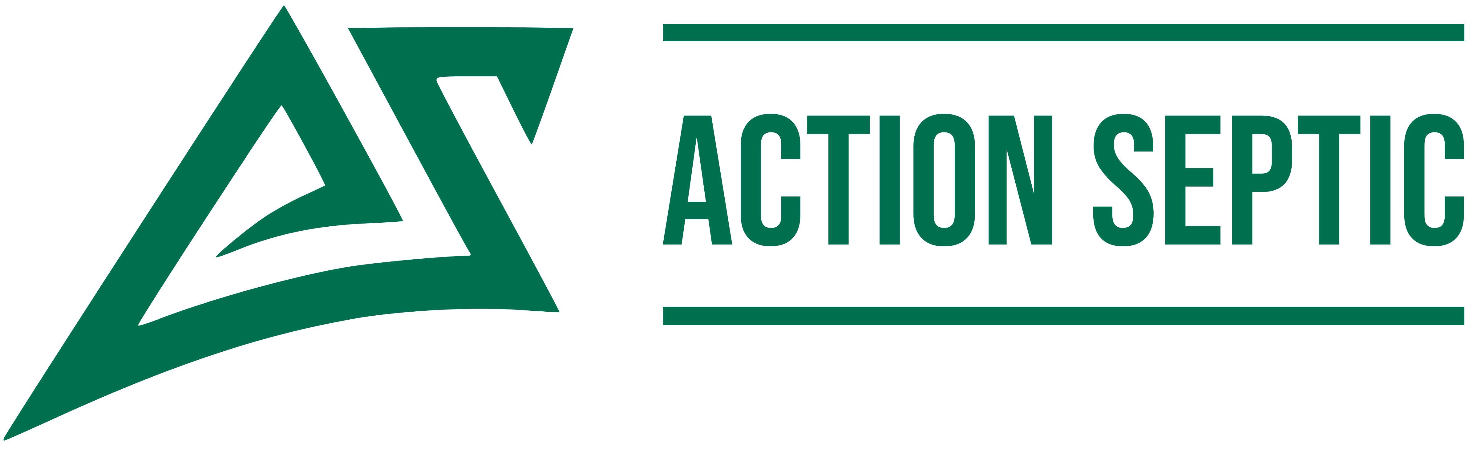Action Septic